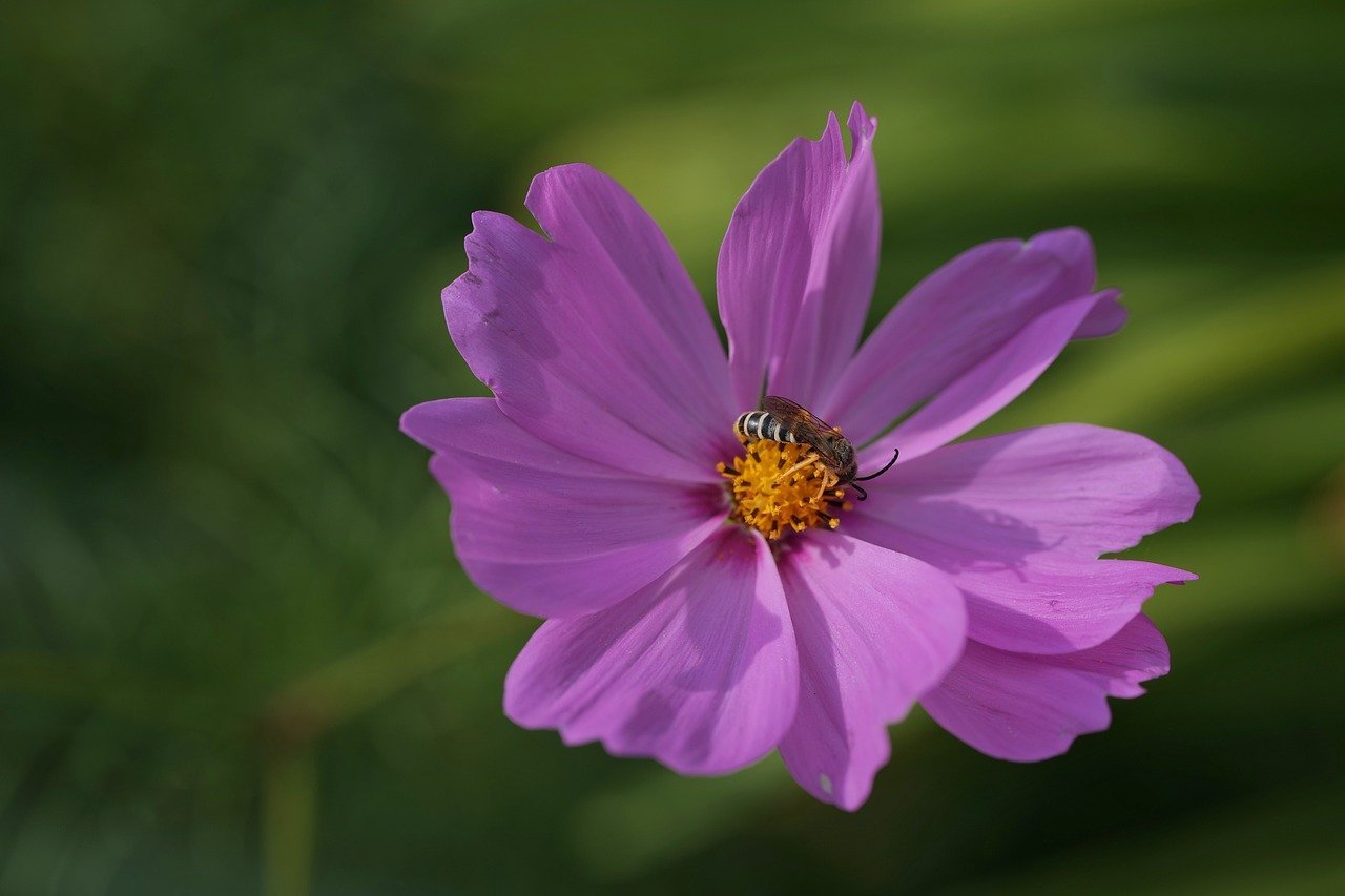 인생을 바꾸는 작은 습관 5가지