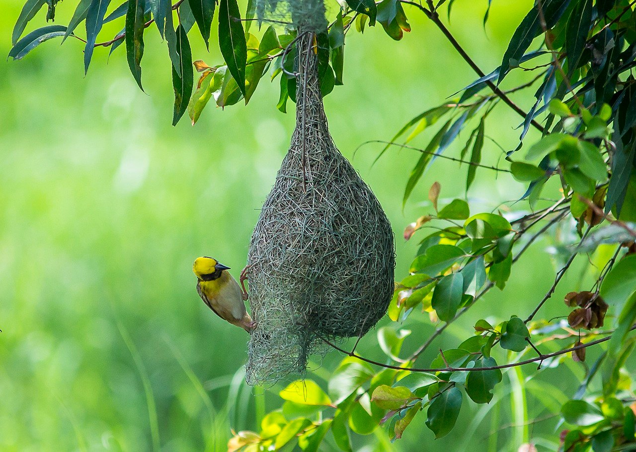 버버리의 클래식한 매력, 시대를 초월한 스타일 탐구하기