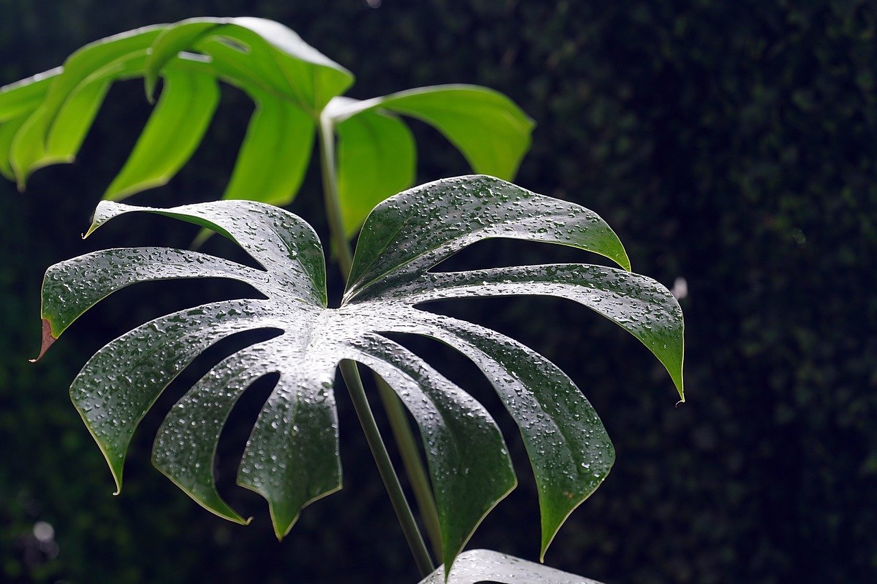 젠틀몬스터의 독창적인 안경 디자인과 그 매력 탐험하기